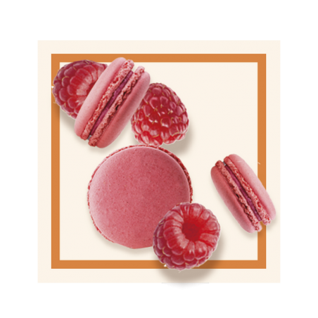 GLACES DES ALPES MACARON FRAMBOISE 2