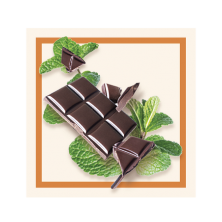 GLACES DES ALPES MENTHE-CHOCOLAT 2