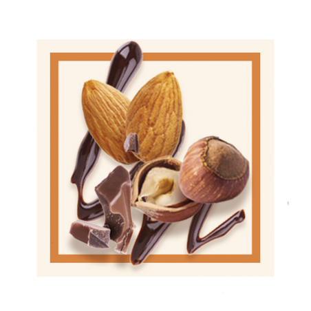 GLACES DES ALPES BARRE CHOCO NUT'S (BUENO) 2