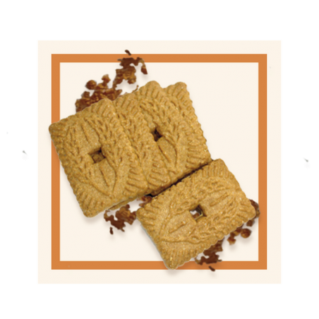 GLACES DES ALPES SPECULOOS 2