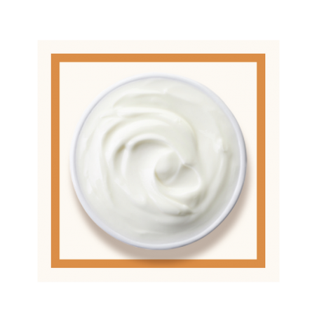 GLACES DES ALPES BULGARE (YAOURT) 2