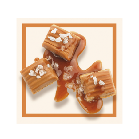 GLACES DES ALPES CARAMEL BEURRE SALE 2