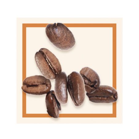 GLACES DES ALPES CAFE ARABICA 5L