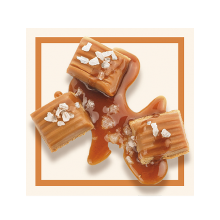 GLACES DES ALPES CARAMEL BEURRE SALE 5L