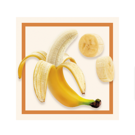 GLACES DES ALPES SORBET BANANE 5L