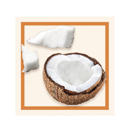 GLACES DES ALPES COCO CR.GLACE 5L
