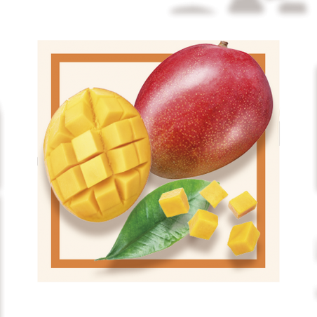 GLACES DES ALPES SORBET MANGUE 5L