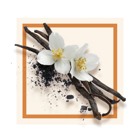 GLACES DES ALPES VANILLE BLACK ICE  2