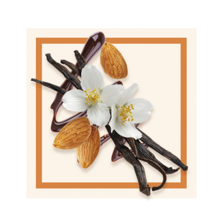 GLACES DES ALPES VANILLE CHOCO AMANDES 2