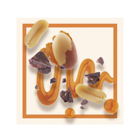 GLACES DES ALPES GLACE BARRE CARAMEL CACAHUETE 2