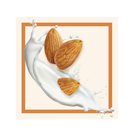 GLACES DES ALPES GLACE LAIT D'AMANDE 2