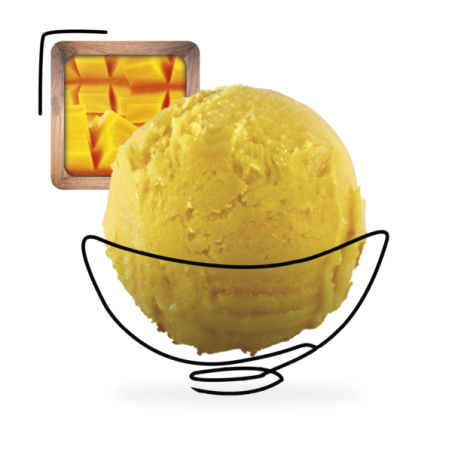 GLACES DES ALPES SORBET MANGUE 5L