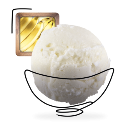 GLACES DES ALPES SORBET BANANE 5L