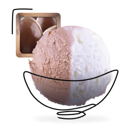 GLACES DES ALPES DUO CHOCOLAT 5L