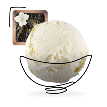 GLACES DES ALPES VANILLE BOURBON 5L