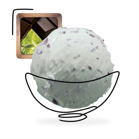 GLACES DES ALPES MENTHE-CHOCOLAT 2,5L