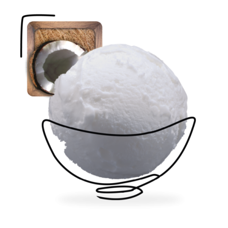 GLACES DES ALPES COCO CREME GLACE 2,5L