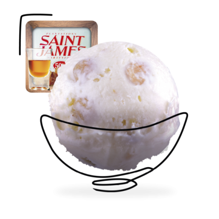 GLACES DES ALPES RHUM RAISINS 2,5L