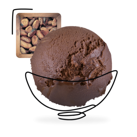 GLACES DES ALPES SORBET CHOCOLAT 2,5L