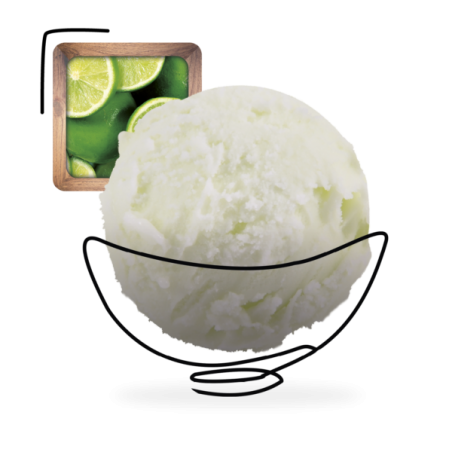 GLACES DES ALPES SORBET CITRON VERT 2,5L