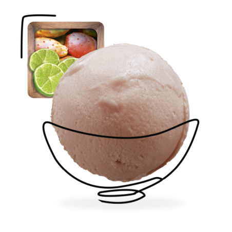 GLACES DES ALPES SORBET CACTUS CITRON VERT 2,5L