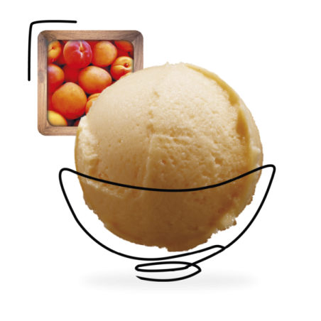 GLACES DES ALPES SORBET ABRICOT 2,5L