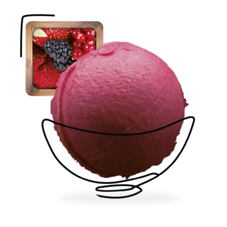 GLACES DES ALPES SORBET FRUITS ROUGES 2,5L
