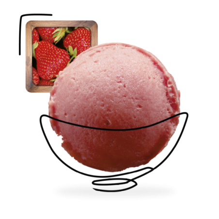GLACES DES ALPES SORBET FRAISE 2,5L