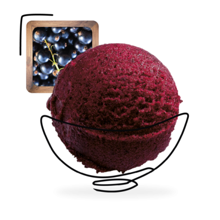 GLACES DES ALPES SORBET CASSIS 2,5L