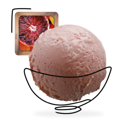 GLACES DES ALPES SORBET ORANGE SANGUINE 2,5L