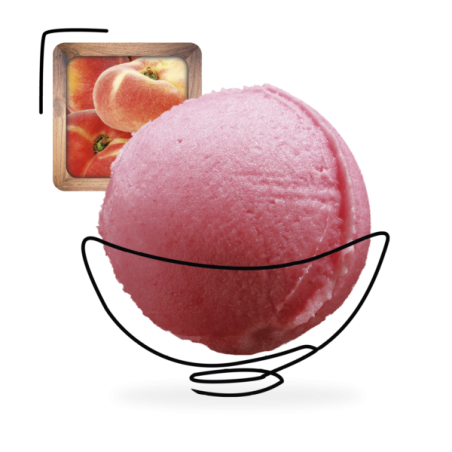 GLACES DES ALPES SORBET PECHE DE VIGNE 2,5L
