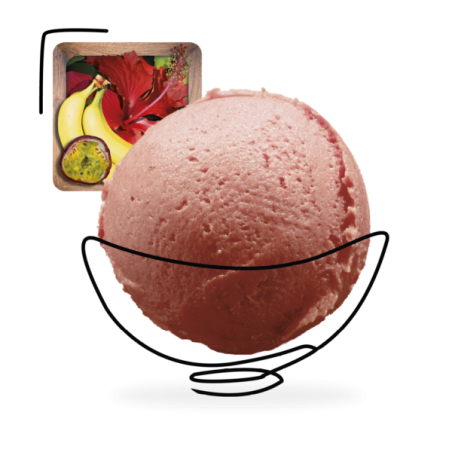 GLACES DES ALPES SORBET HIBISCUS/PASSION/BANANE 2,5L