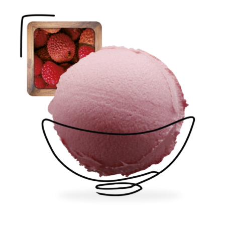 GLACES DES ALPES SORBET FRAMBOISE-LITCHI-EAU DE ROSE 2,5L