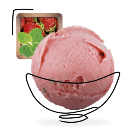 GLACES DES ALPES SORBET FRAISE A LA MENTHE DOUCE 2,5L