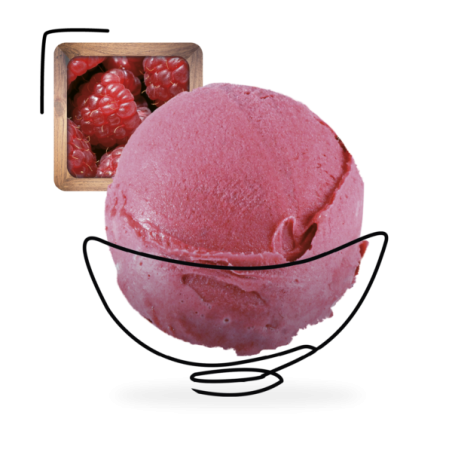 GLACES DES ALPES SORBET FRAMBOISE 2,5L